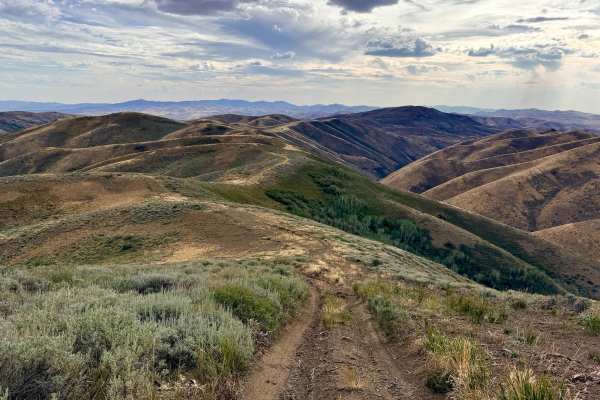 Independence Drive - FS 56160
