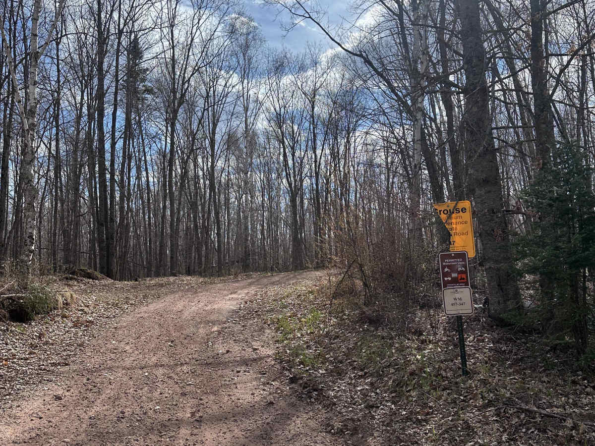 Grouse Forest Road trail photo