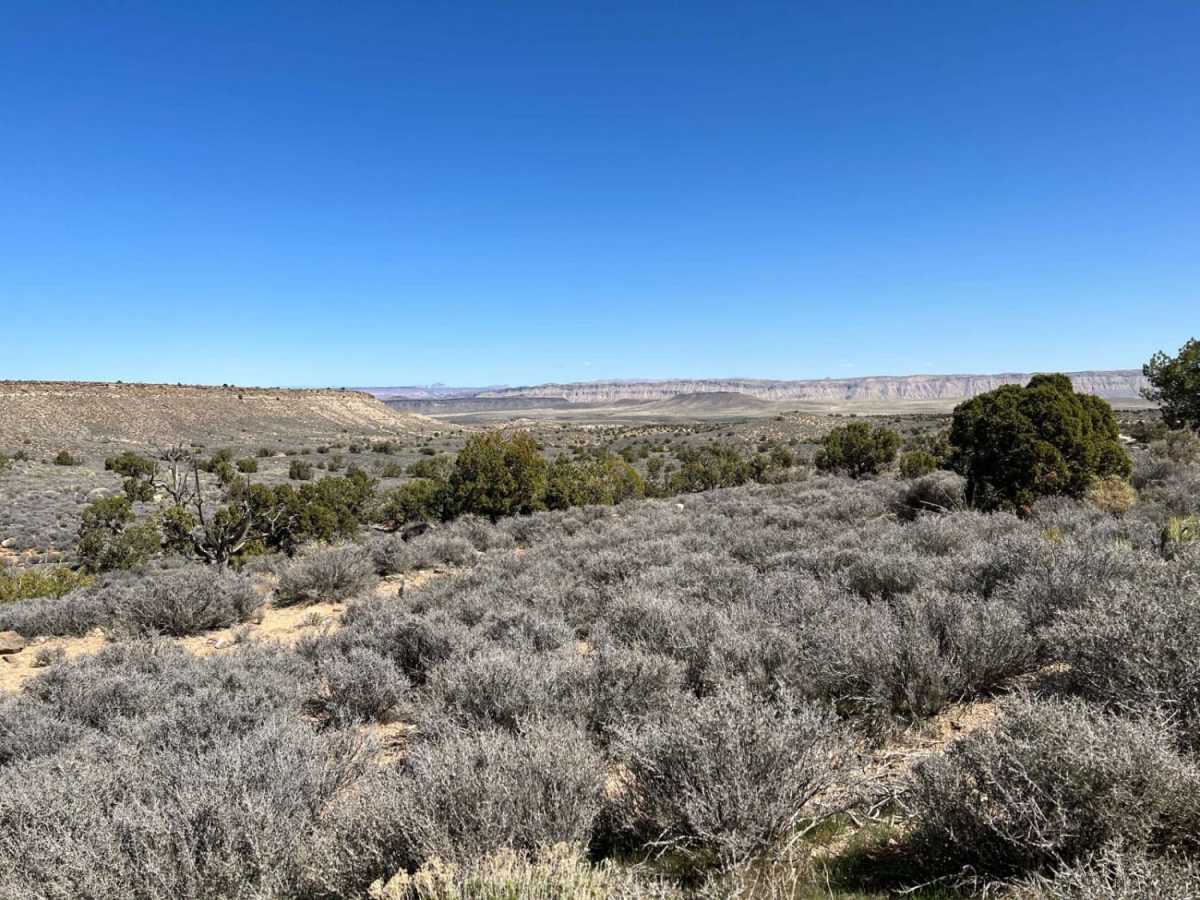 Segmiller - Sunshine Trail Interconnect photo 5