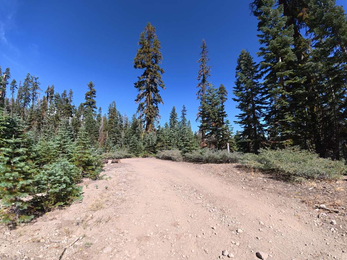 FS 6N90Y trail photo