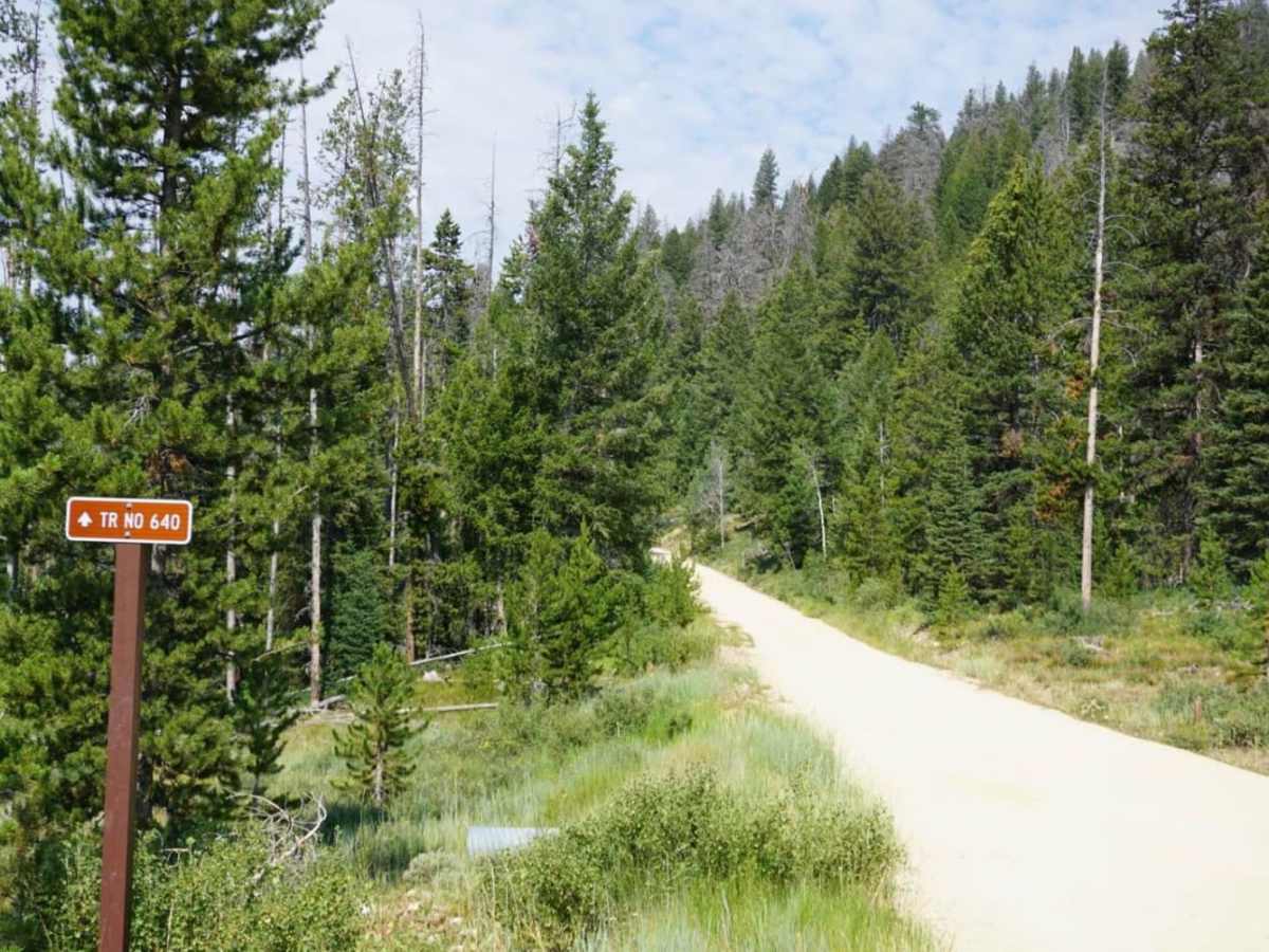 Elk Mountain Trail photo 5