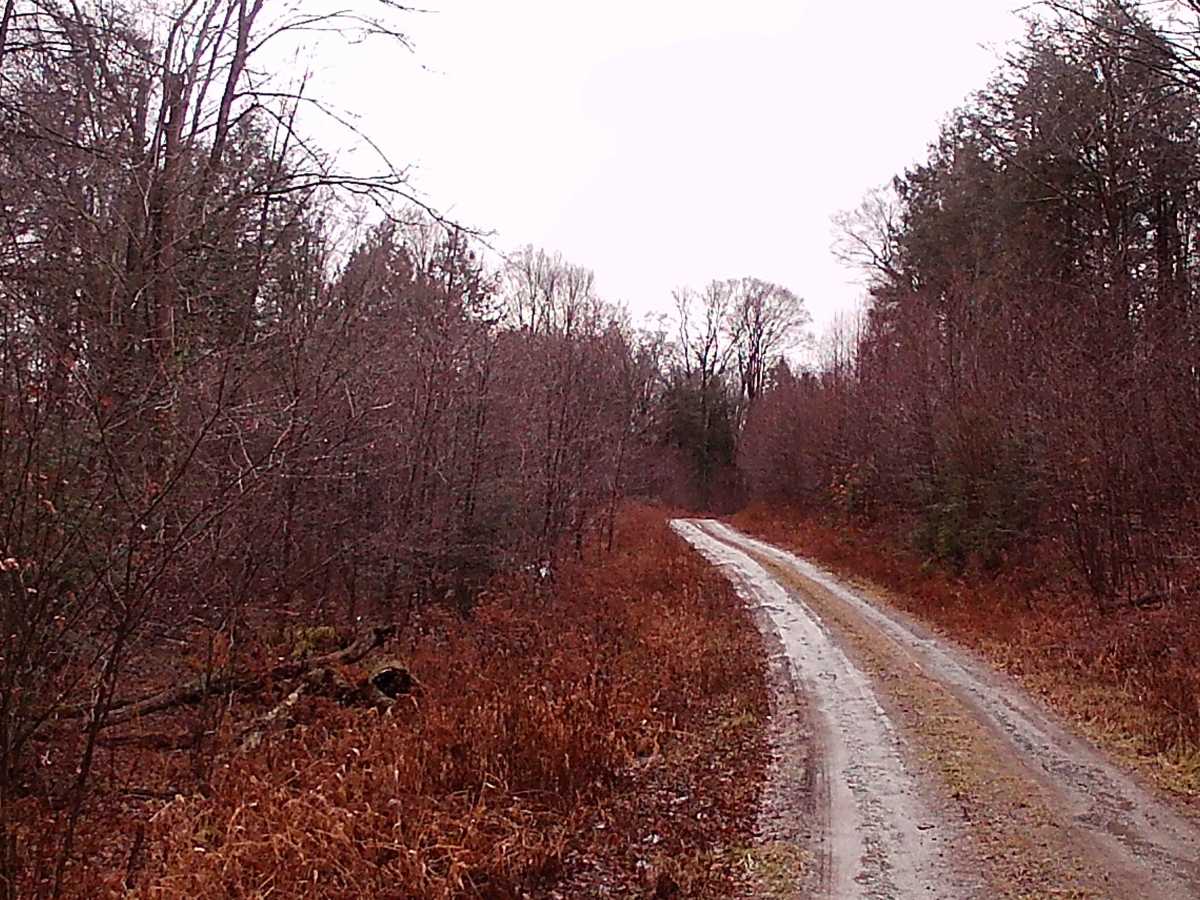 West Huckle Run Road trail photo