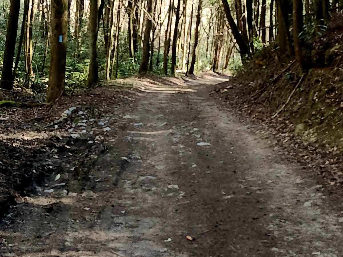 Branchwater Trail photo 6