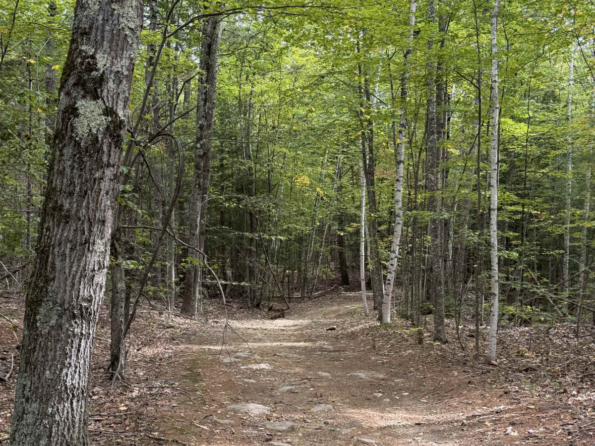 Sawyer Road photo 5