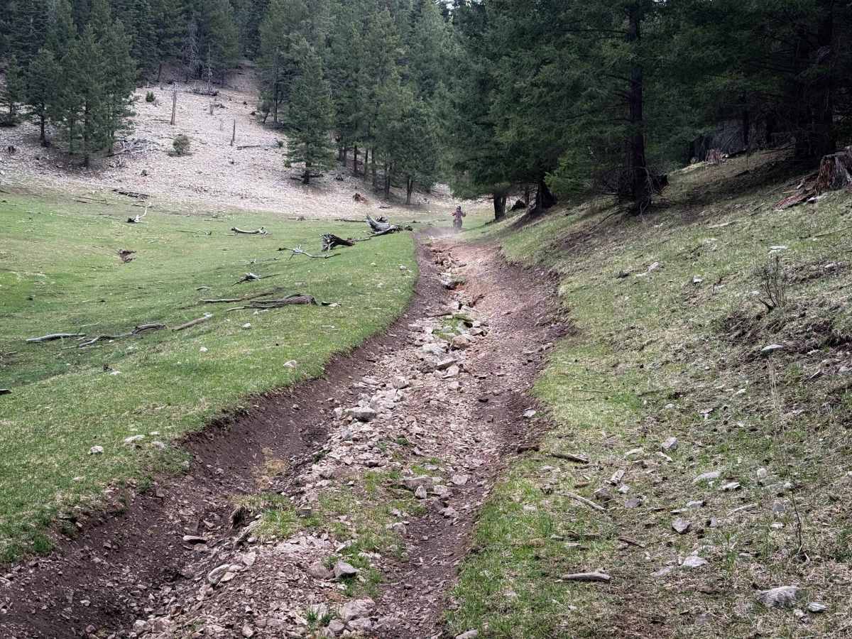 Taylor Canyon - FS 5007  photo 3