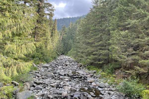 Lightning Creek