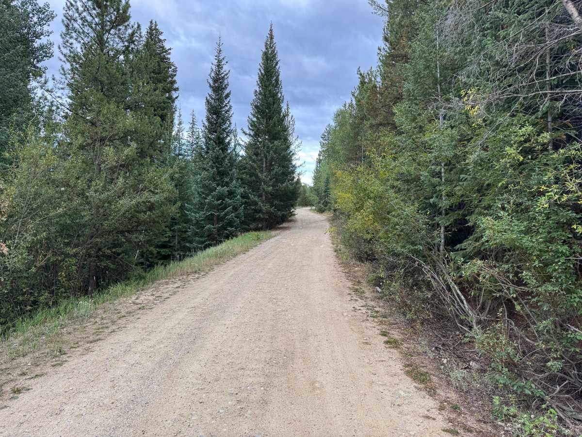 South Fork Fryingpan Road photo 2