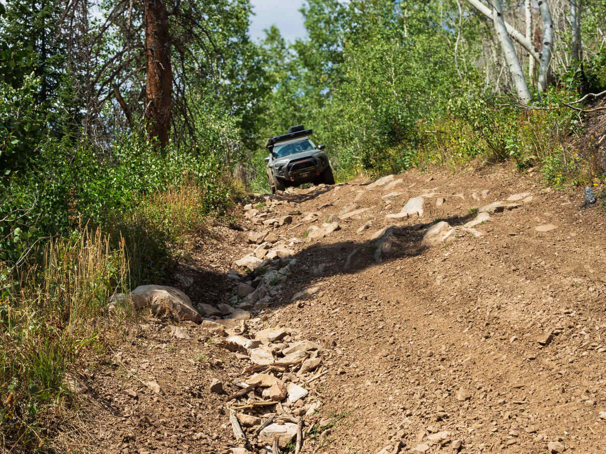 Left Fork Rhodes Canyon - FS 70151 photo 3