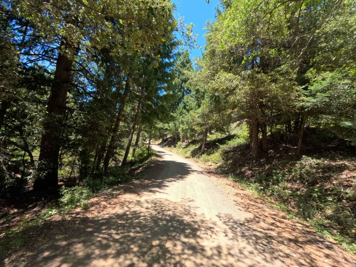 Sierra Buttes Road photo 6