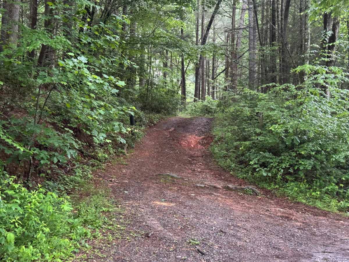 Alec Mountain - FS 58E trail photo
