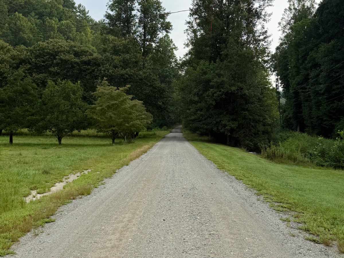 Boone Fork - FS 2055 photo 4
