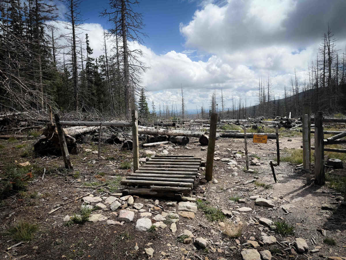 Comales Cutoff Trail  photo 2