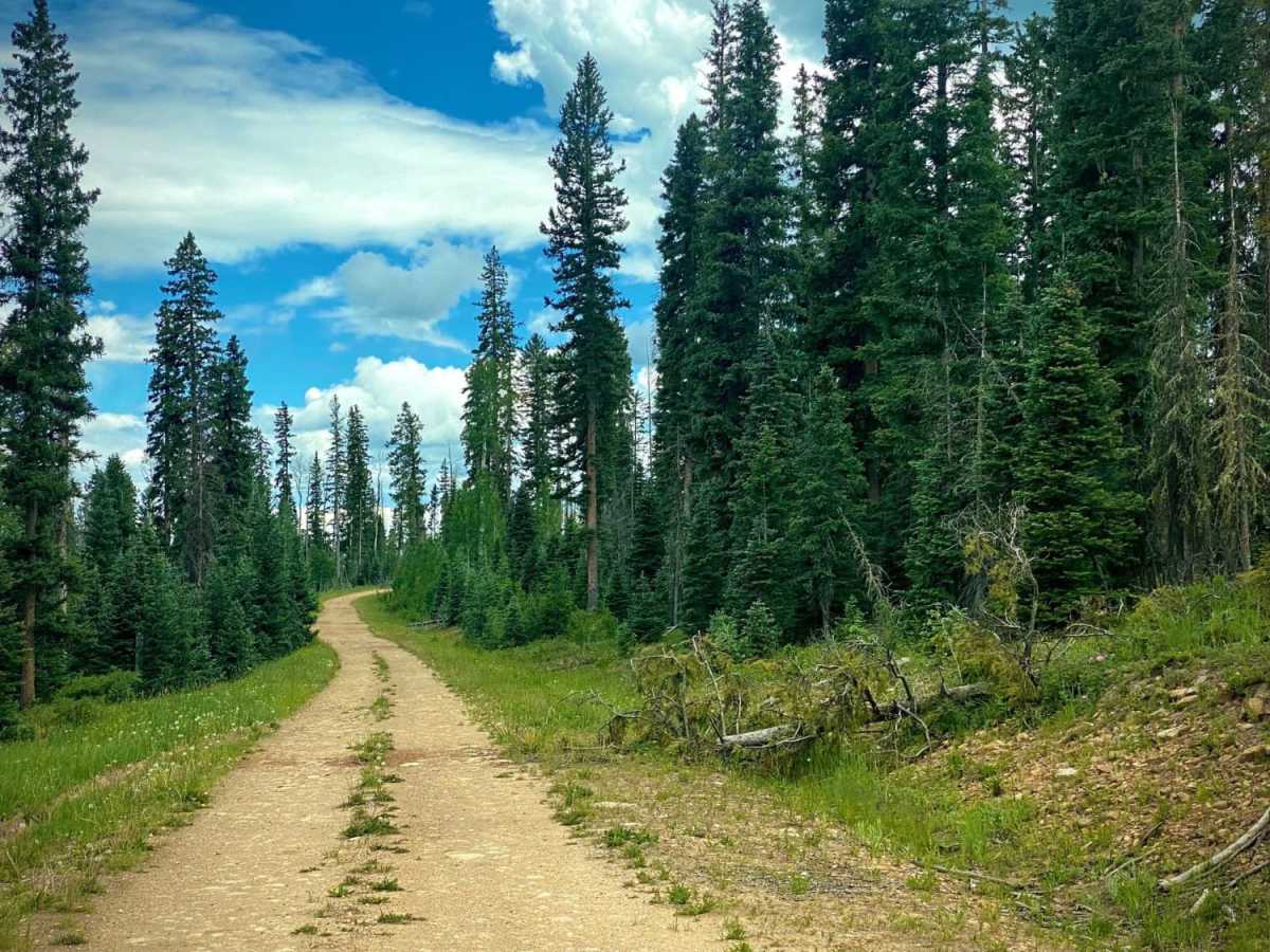 Sandbench-Fr Rd 642 photo 3