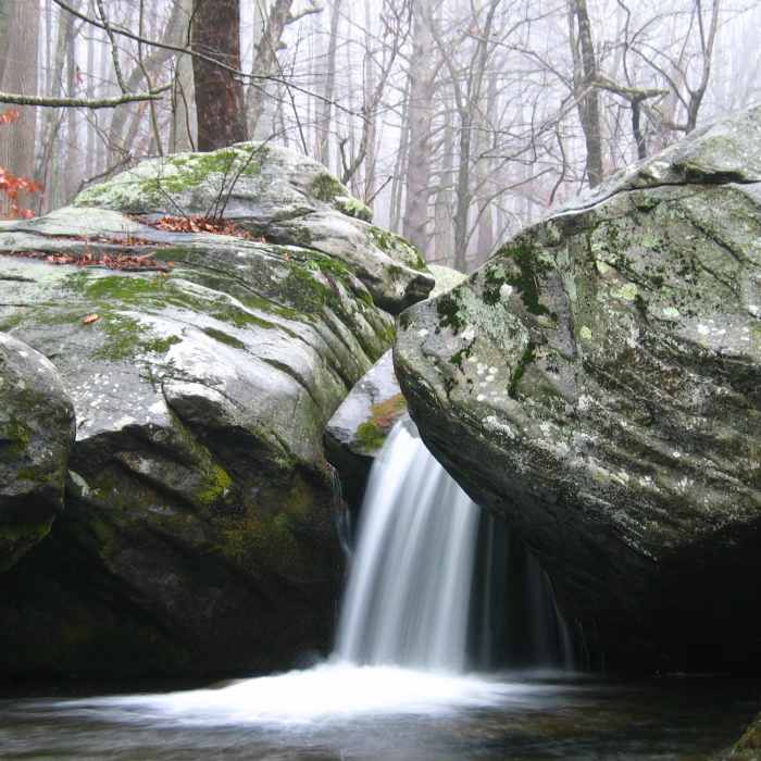 Near Nicholson Hollow