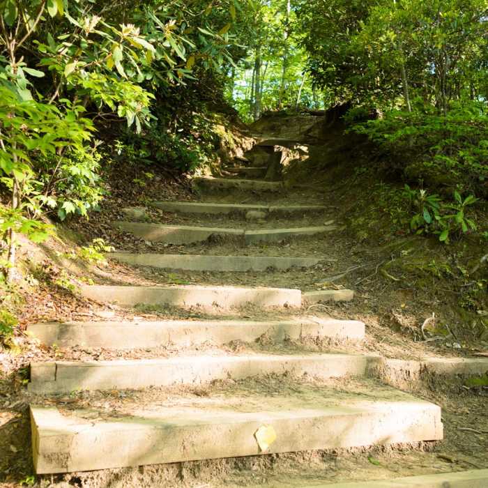 Near Lookout Mountain