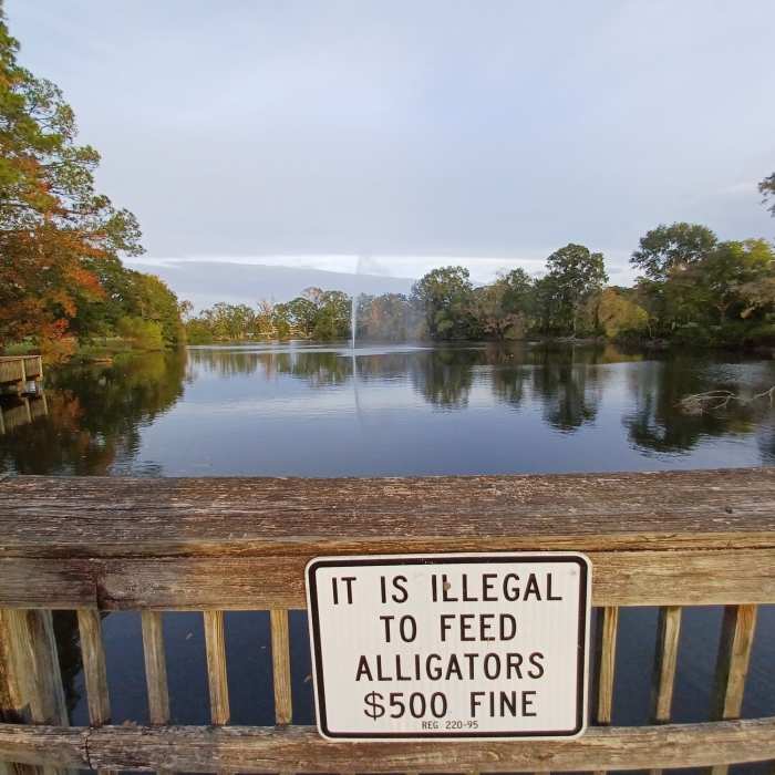 Don't feed the gators Near Glenn Sebastian Nature Trails