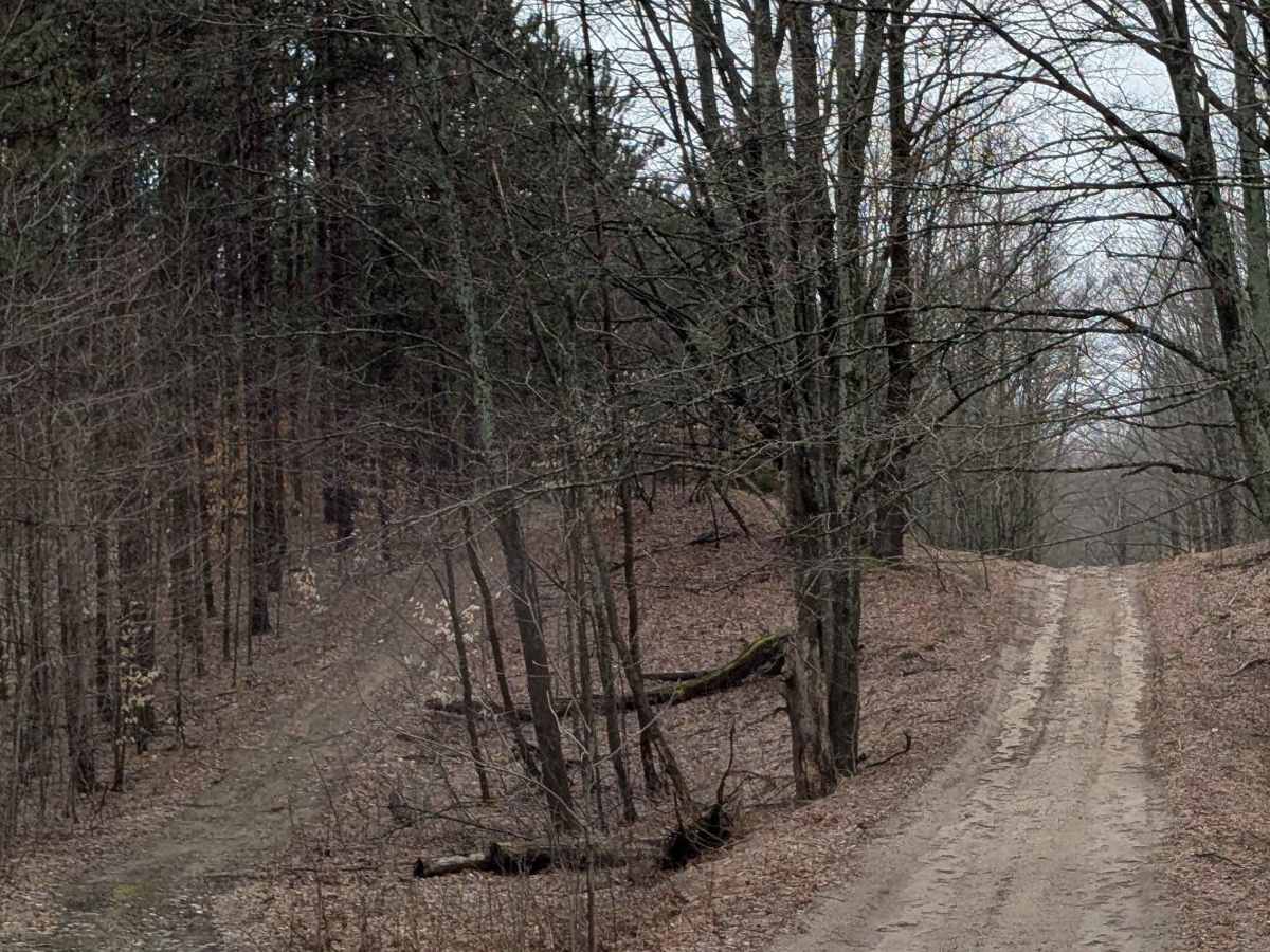 Mitchell Road Southeast photo 6