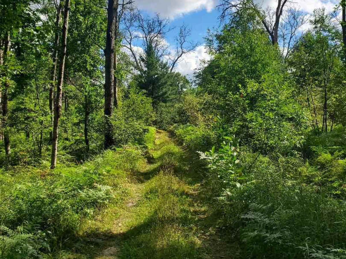 North Section 20 Road photo 6