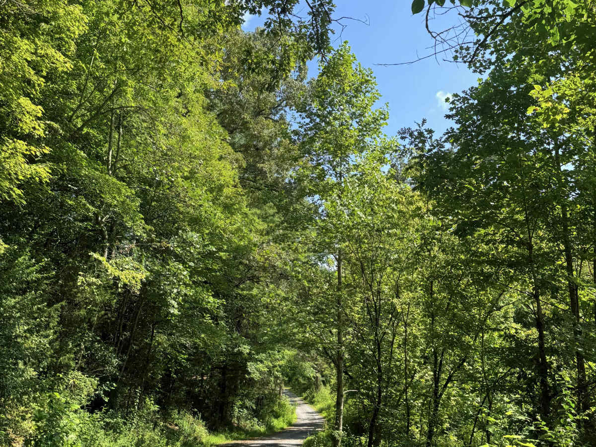 Osborne Ridge  photo 6