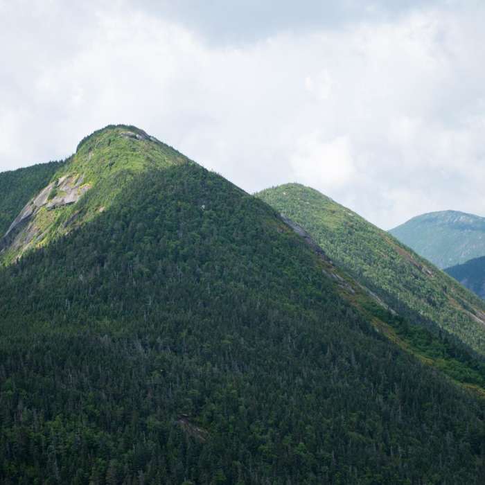 Near Gothics + Armstrong Near Gothics + Armstrong