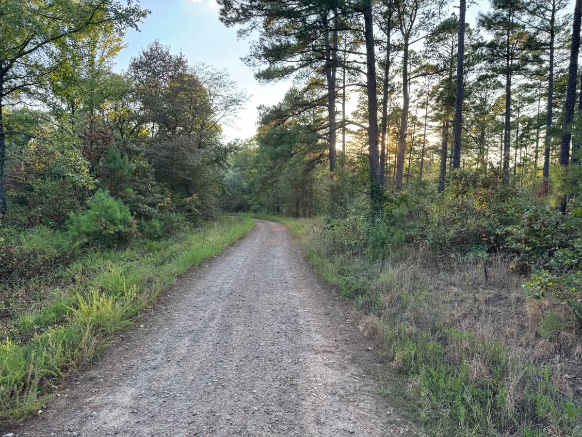 Zelon Young / Robert Hill Road photo 5