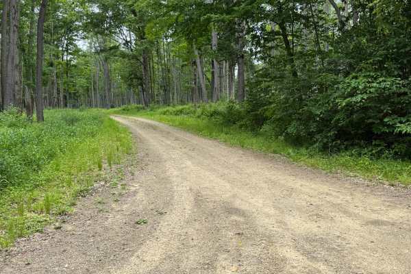 Crane Run Trail - FS 264