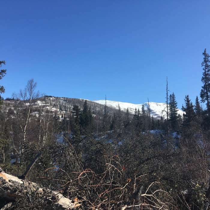Near Temptation Peak via the Dome
