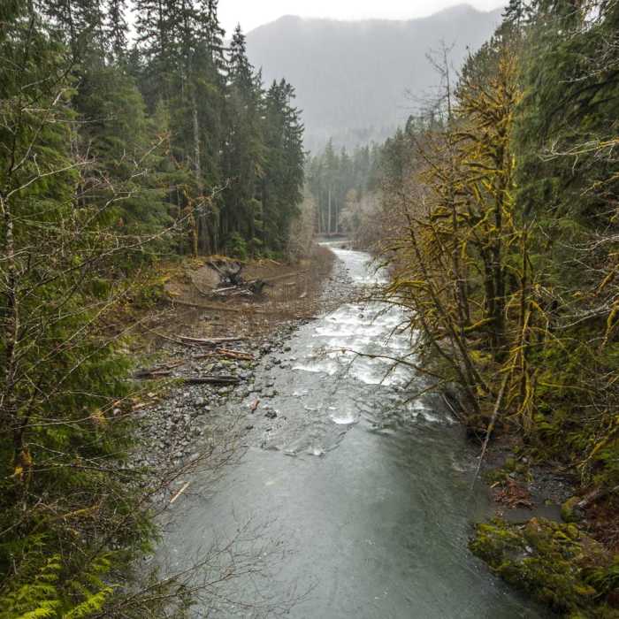 Near Enchanted Valley Trail to Pony Bridge