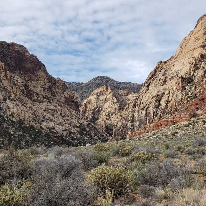 Near Middle Oak Creek Trail