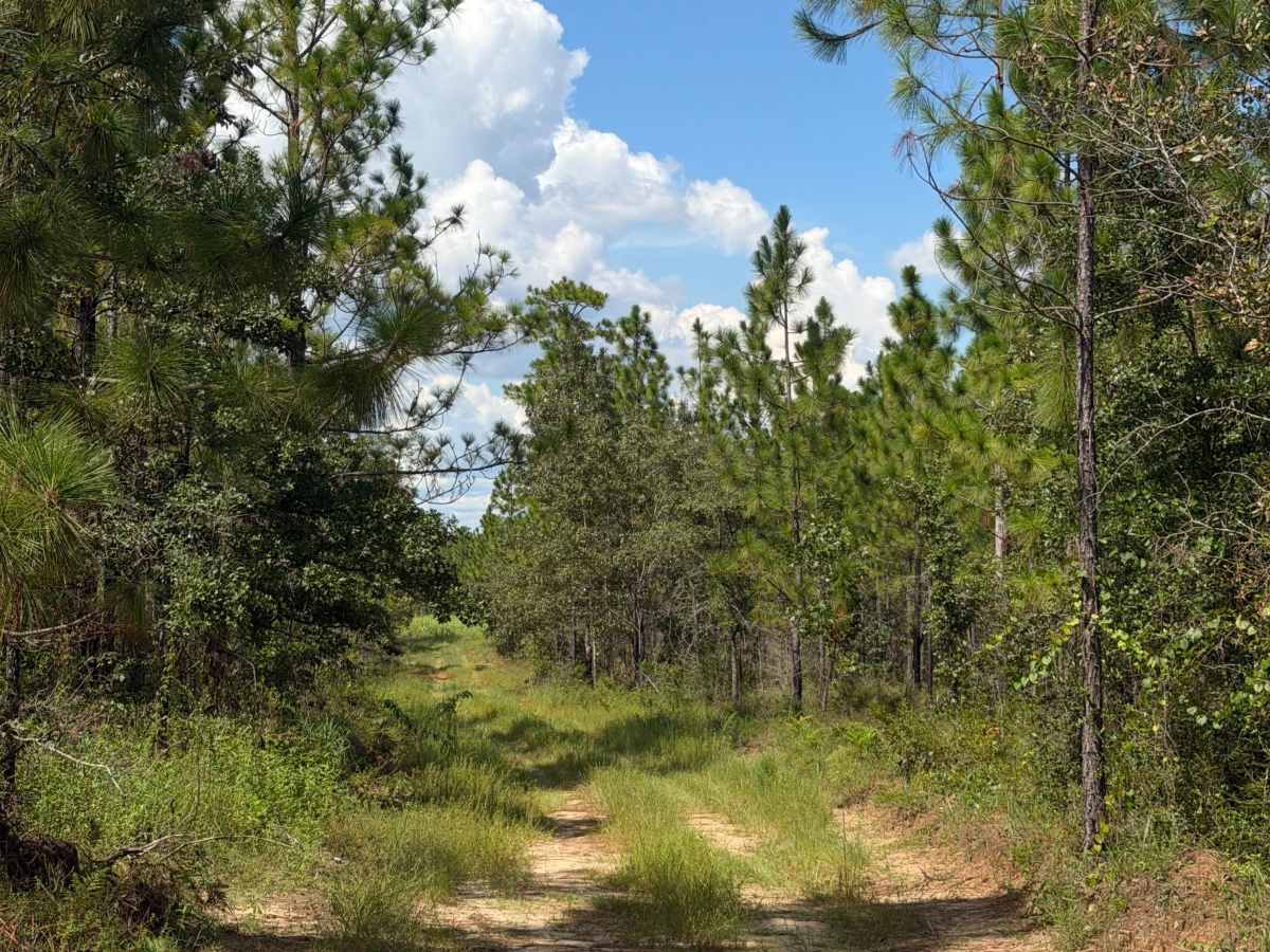 Blackwater River R73 photo 3