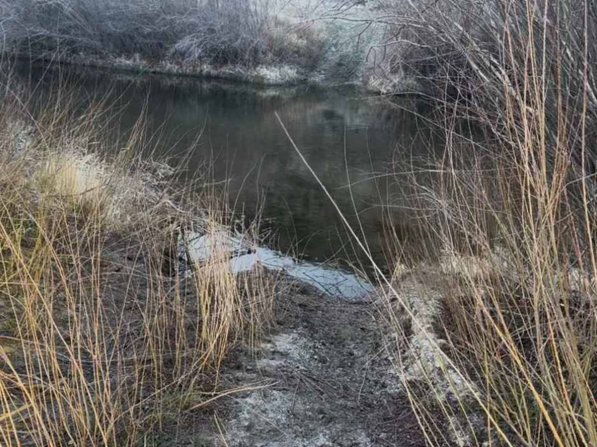 BLM South Fork Owyhee Crossing photo 4