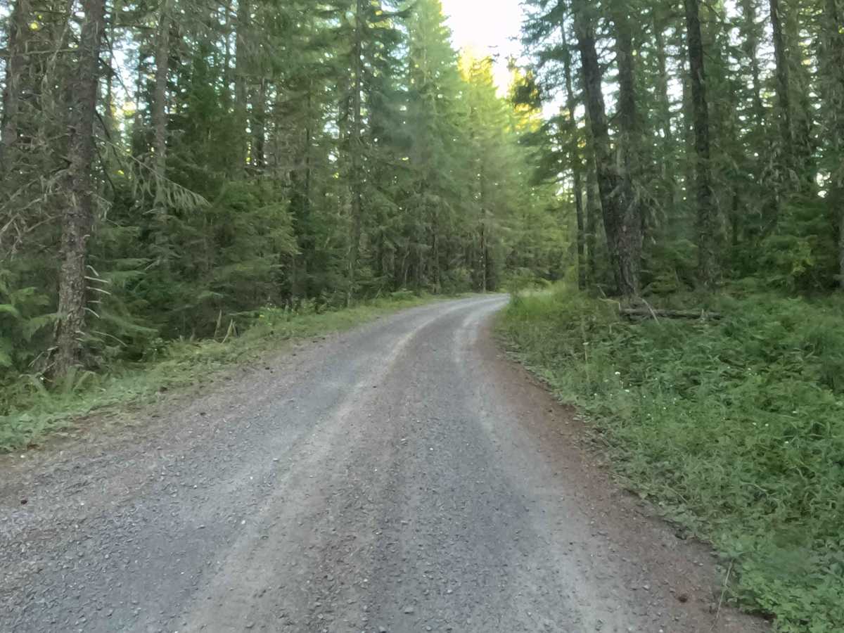 Straight Creek Road - FS 1162000  photo 3