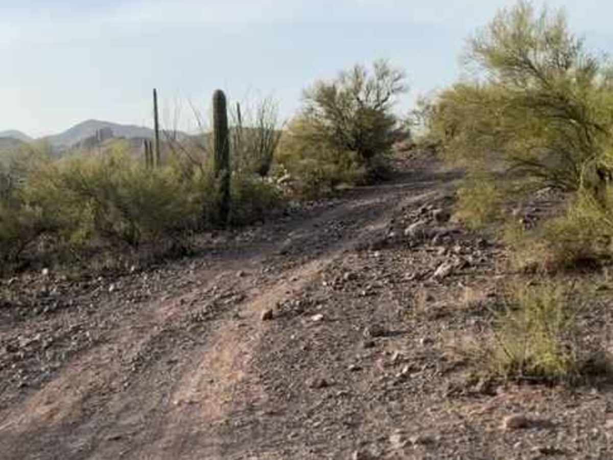 Trail 20003 photo 4