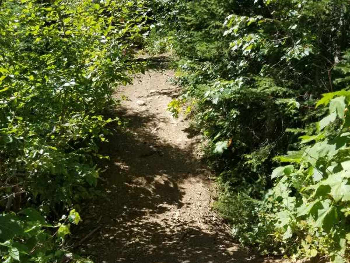 Lost Lake trail photo