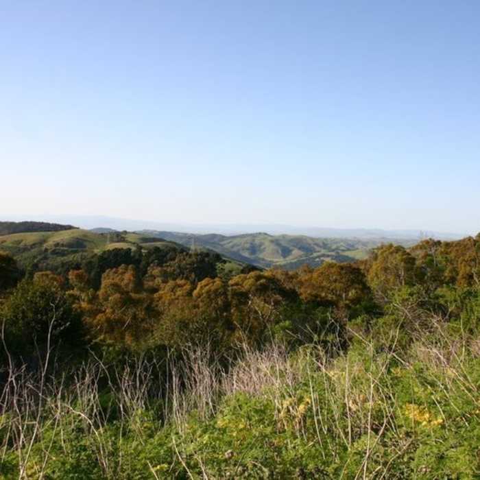 Near Quarry Trail