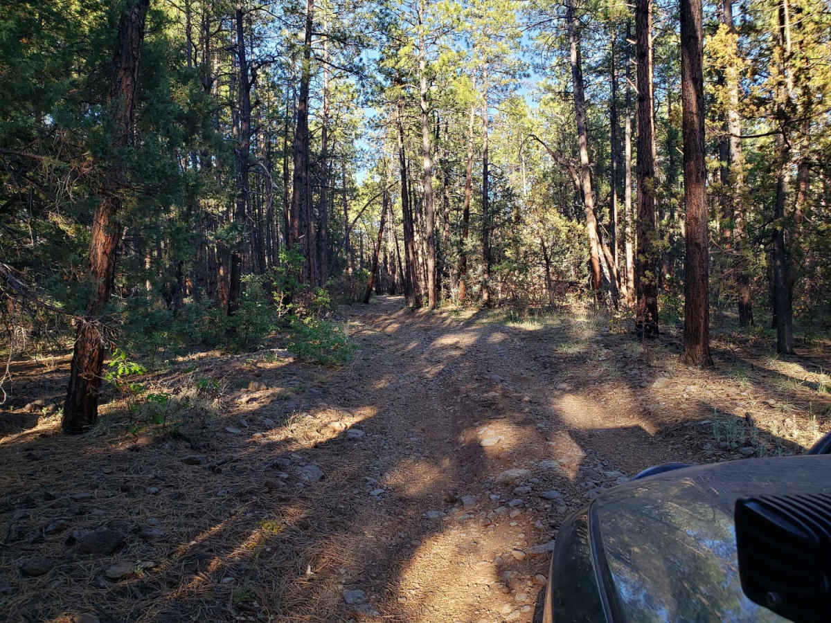 Kelsey Spring Trailhead photo 6