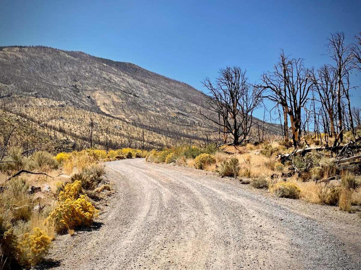 Strawberry Creek Road photo 2