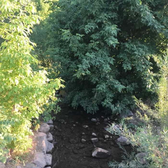 Near BST: Emigration Canyon to Dry Creek