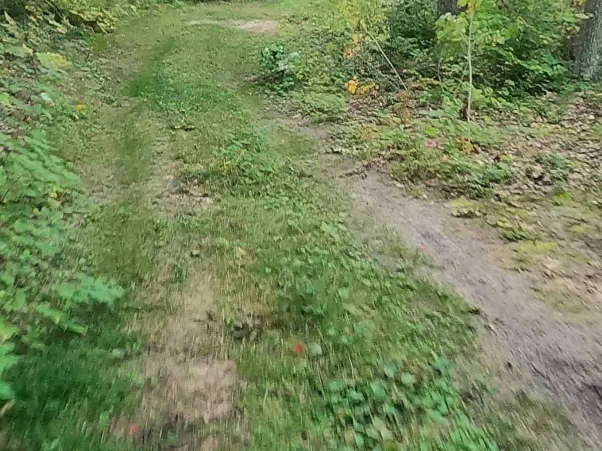 Old Stage Truck Road photo 2
