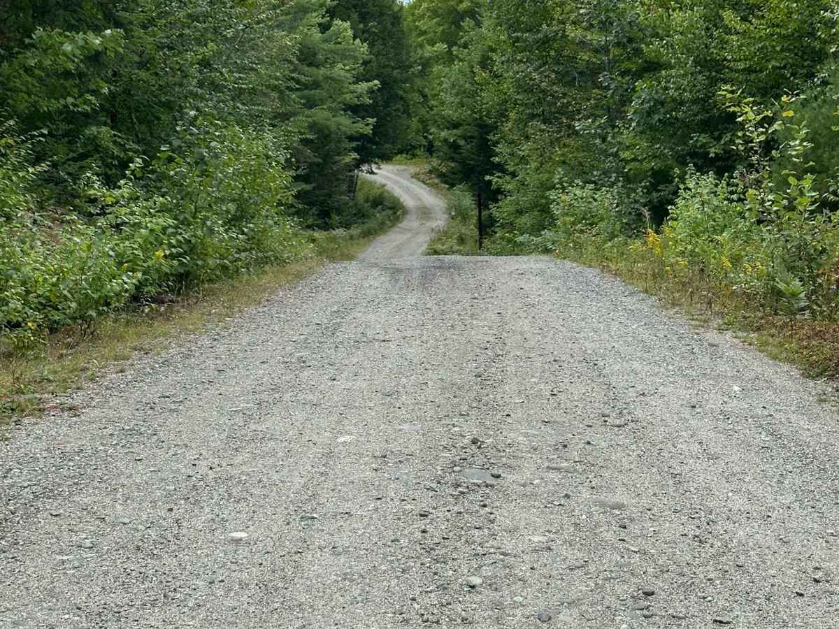 Branch Lake Forest Access Road trail photo