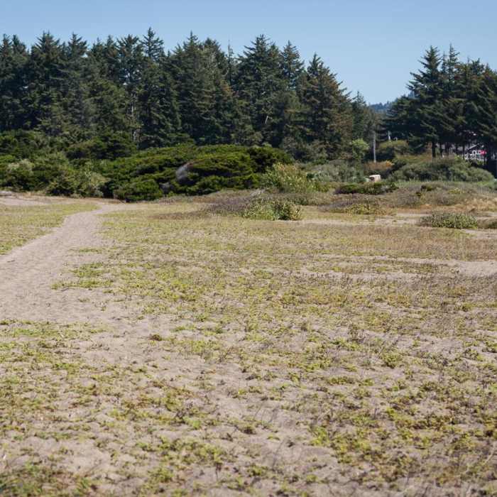 Near Floras Lake Trail Hike