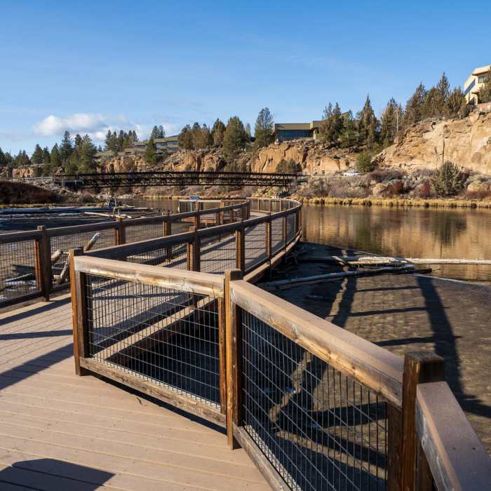 Near Deschutes River Trail (Loggers Loop) Near Deschutes River Trail (Loggers Loop)