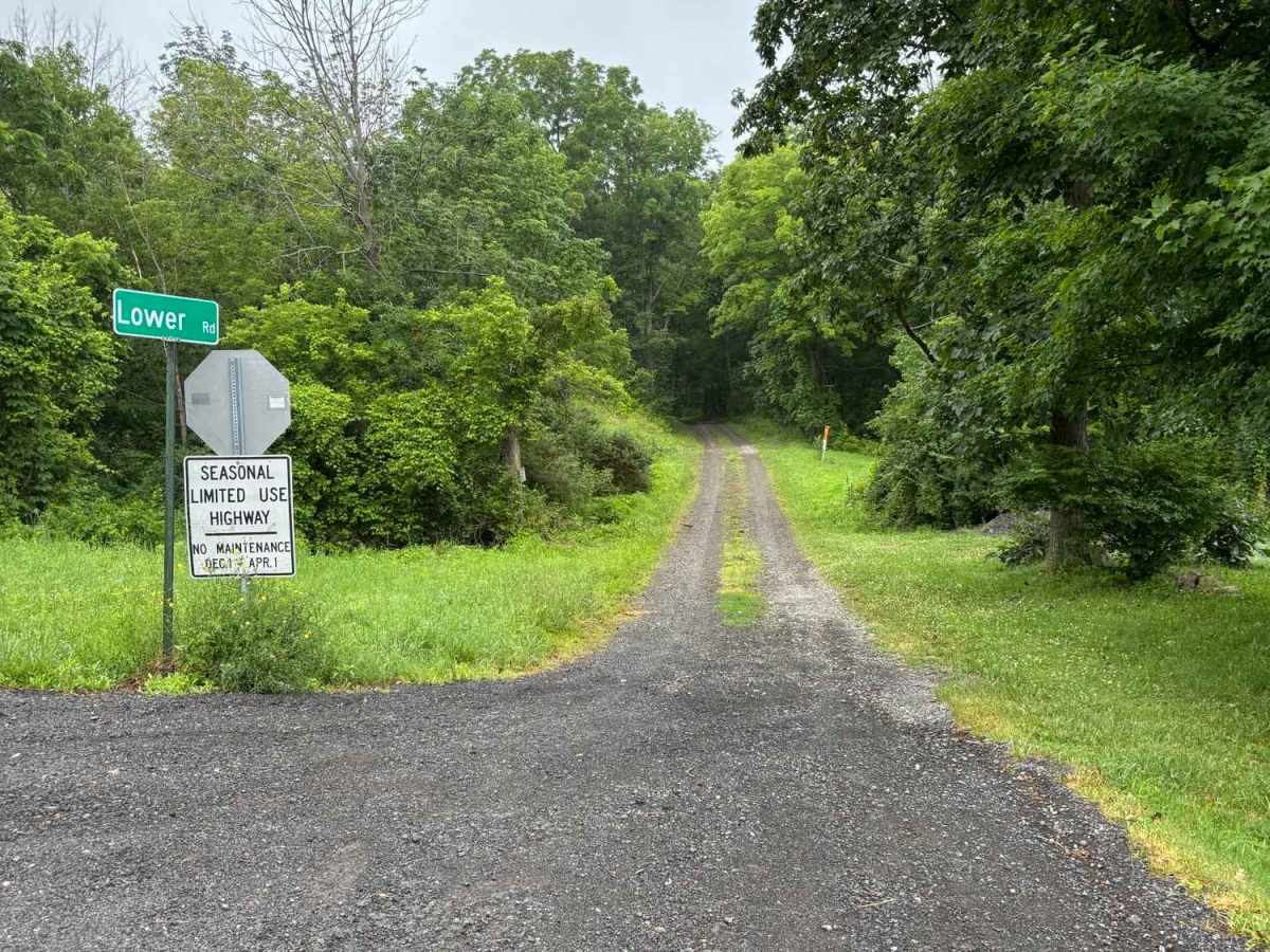 Lower Road trail photo