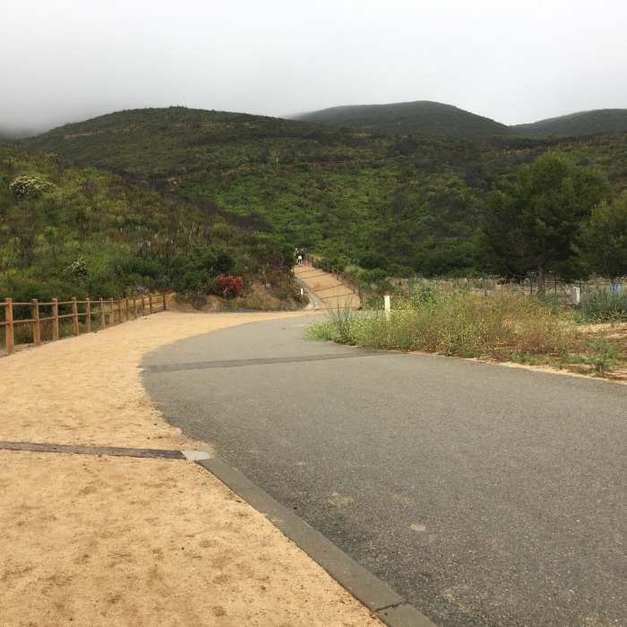 Near Double Peak Trail