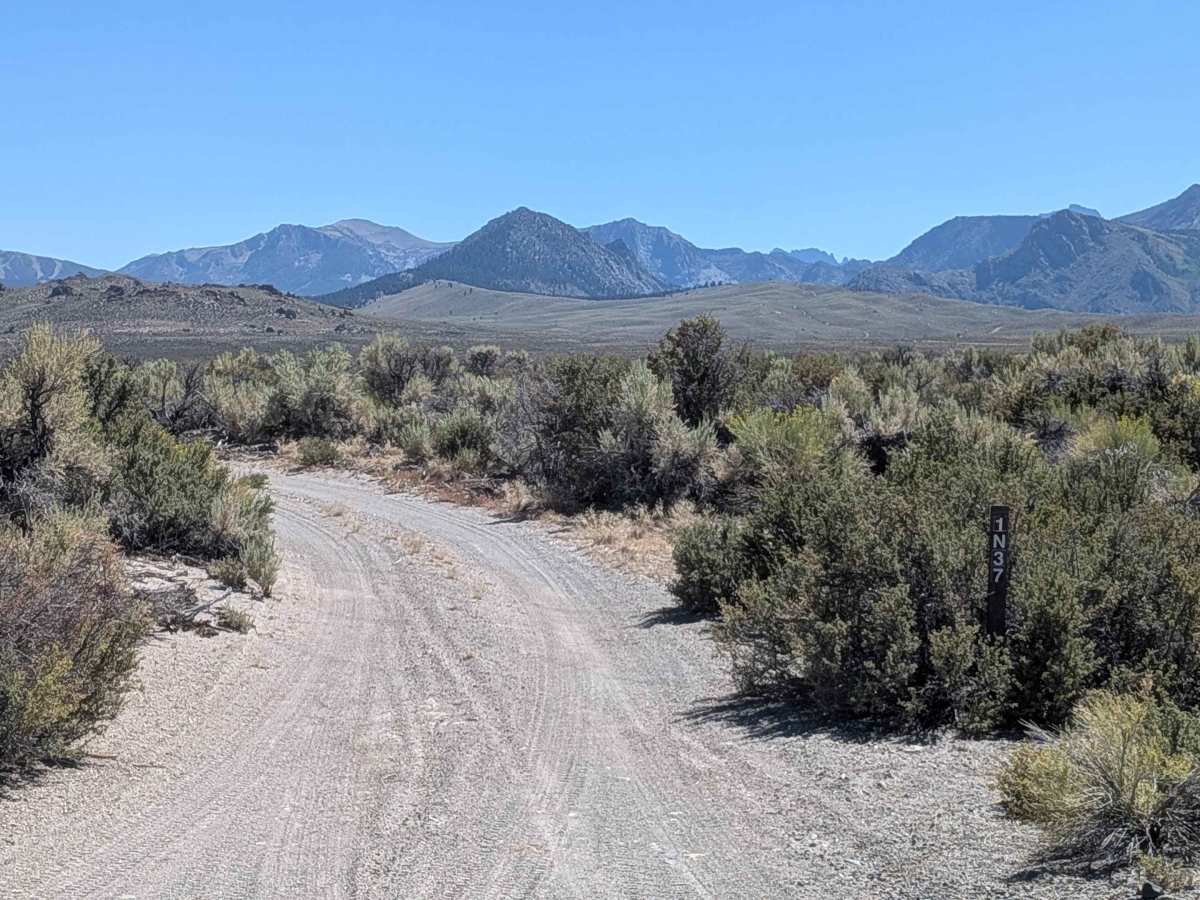 Pumice Valley - FS1N36 trail photo