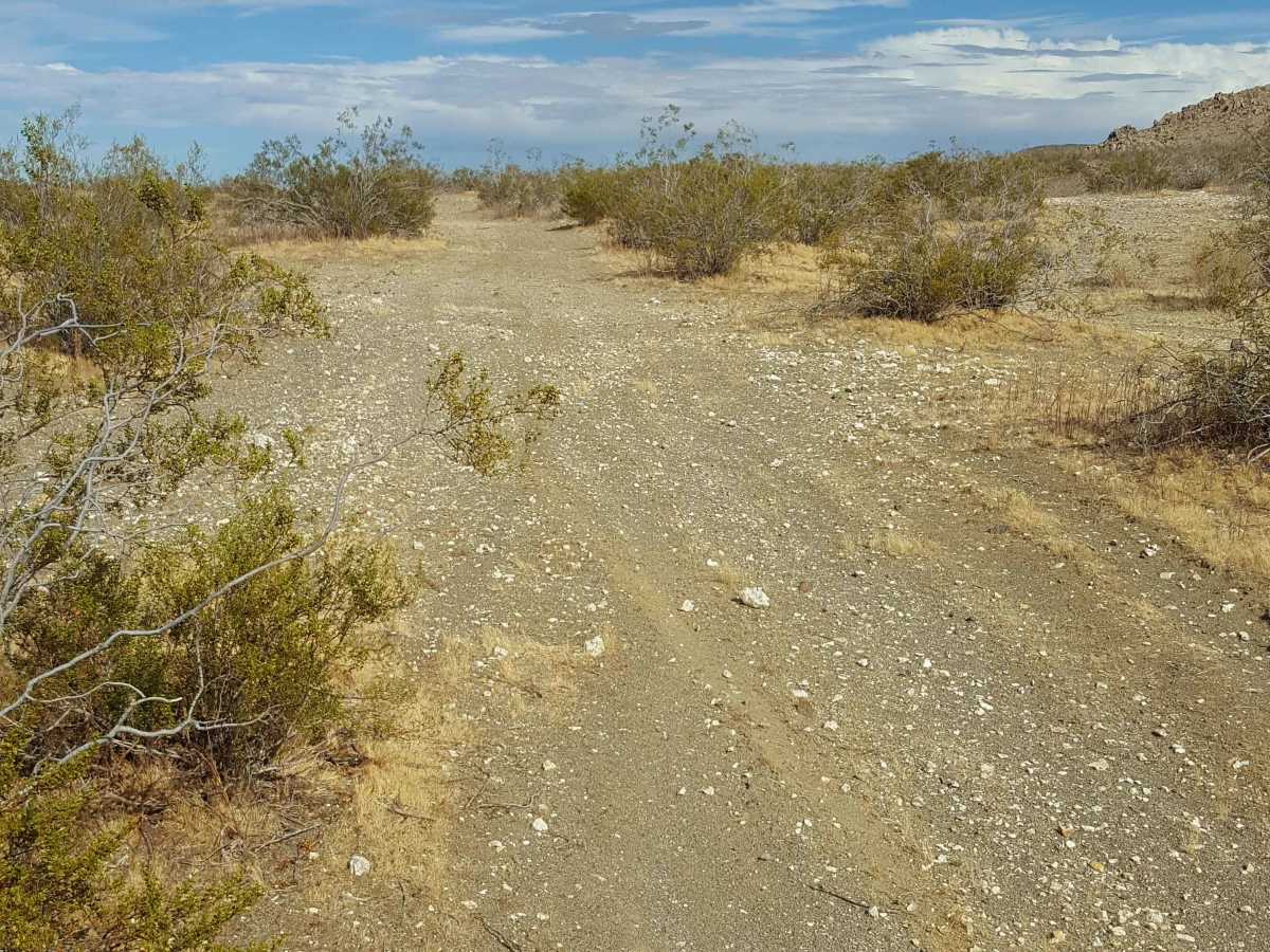 Whoops I Did It Again trail photo