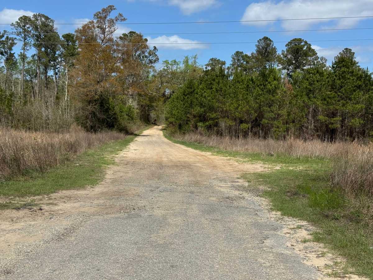 Blount's Crossing photo 4