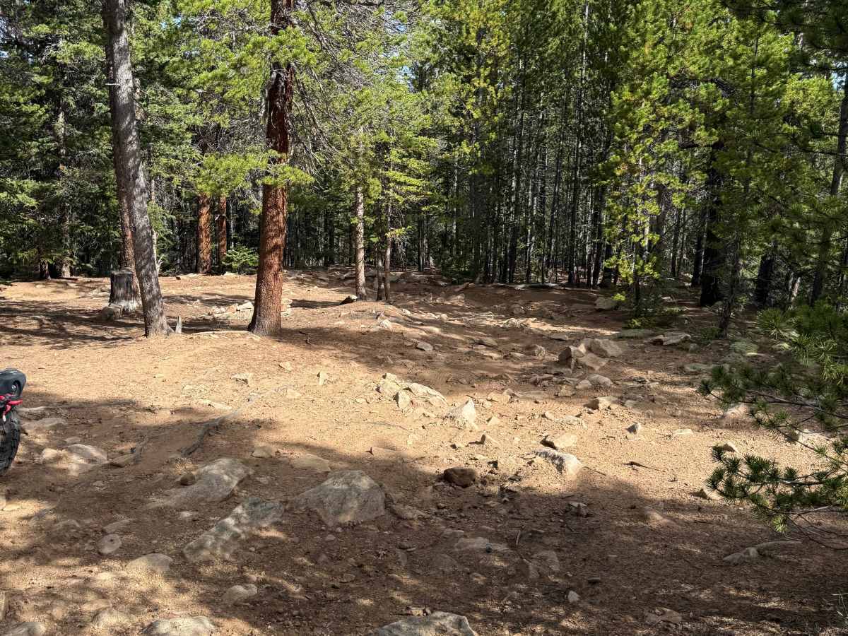 Barbour Fork Trail - FS 2461 photo 2