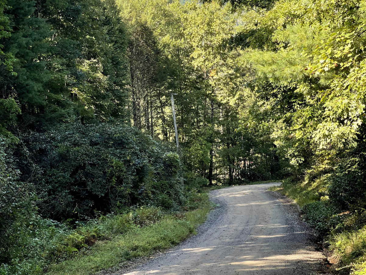 Caldwell Line Road photo 5