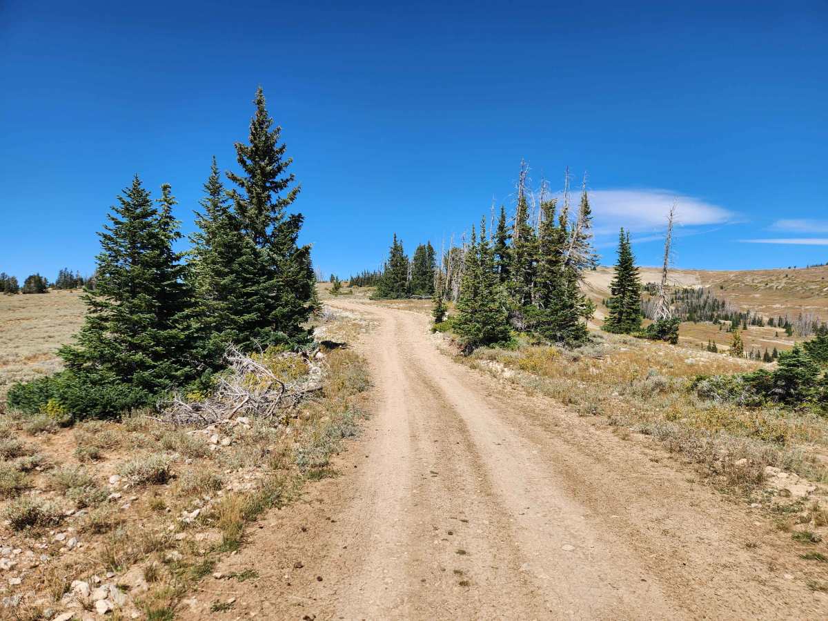 Olsen Bench - FS 50276 trail photo